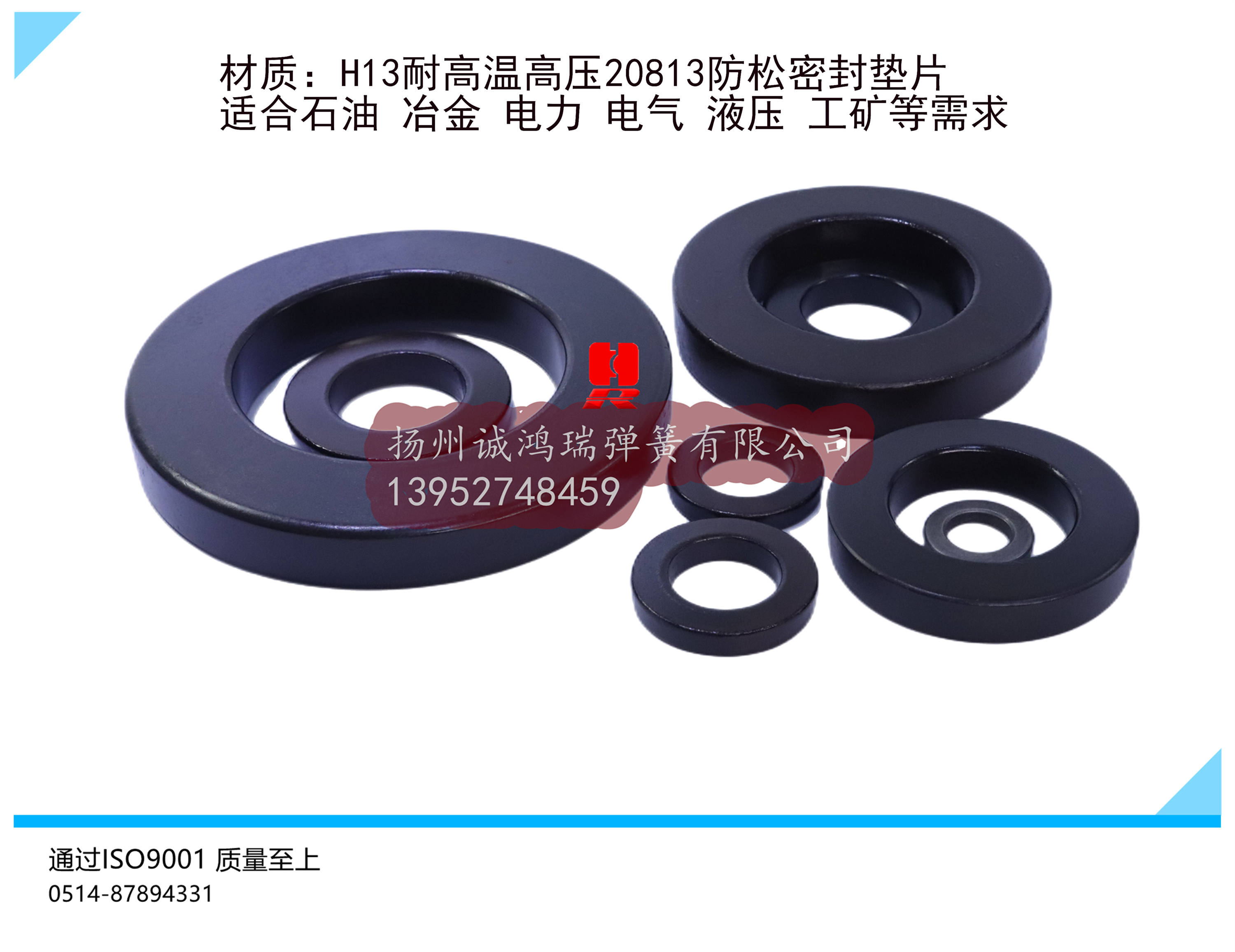 20813H高溫簧
